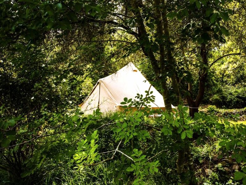 Slow Life Sweden - Nature Nesting Tentの写真