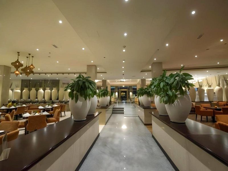 リワ ホテル (Liwa Hotel)の写真