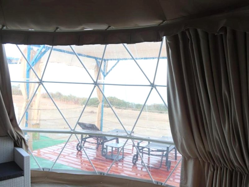 Domes at the Beachの写真