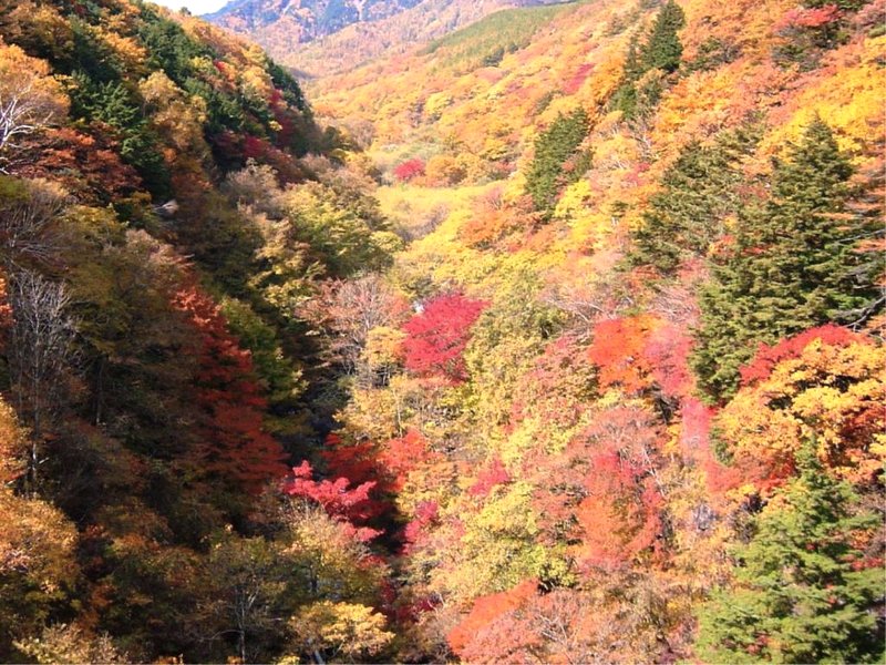 リッツ・イン清里 (RITZ INN KIYOSATO)の写真