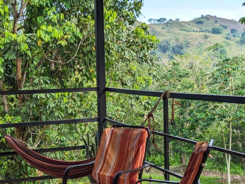 Rainforest Lodge del Rioの写真