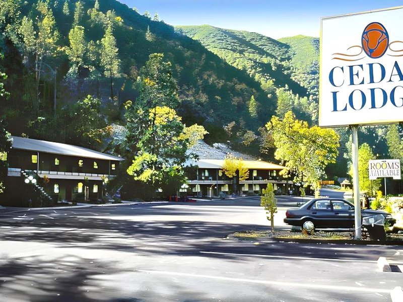 シダー ロッジ (Cedar Lodge)の写真