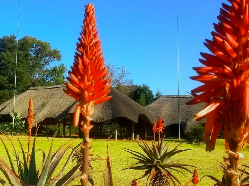 アフリカン フレア カントリー ロッジ (African Flair Country Lodge)の写真