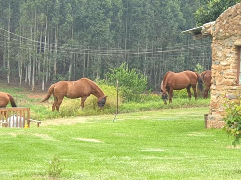 Aloe Inn Guest Farmの写真