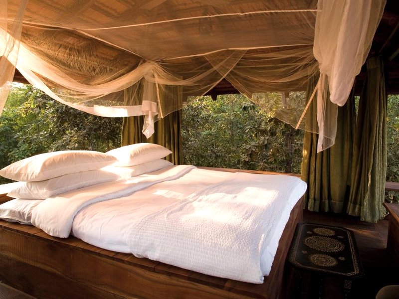 Baghvan, A Taj Safari – Pench National Parkの写真