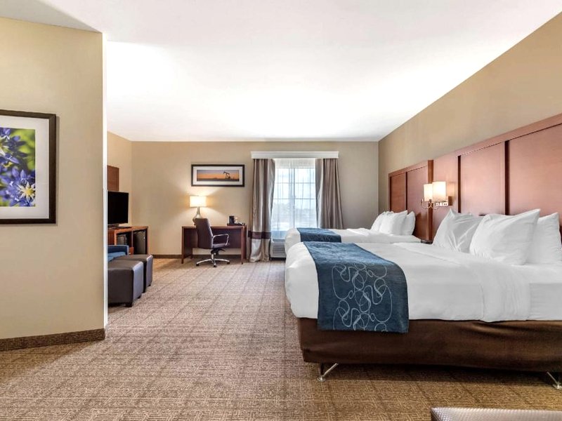 コンフォート スイーツ ビューダ オースティン サウス (Comfort Suites Buda - Austin South)の写真
