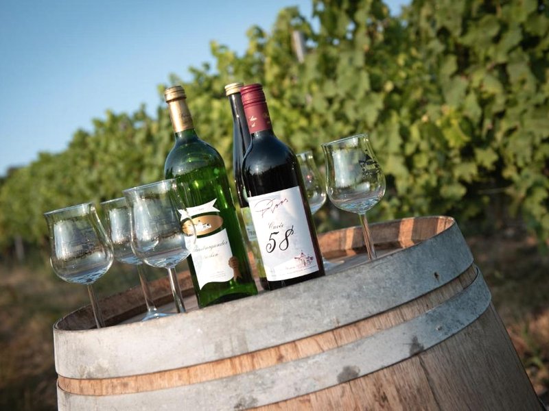 Weinschlößchen im Weingut Roos (Weinschloßchen im Weingut Roos)の写真