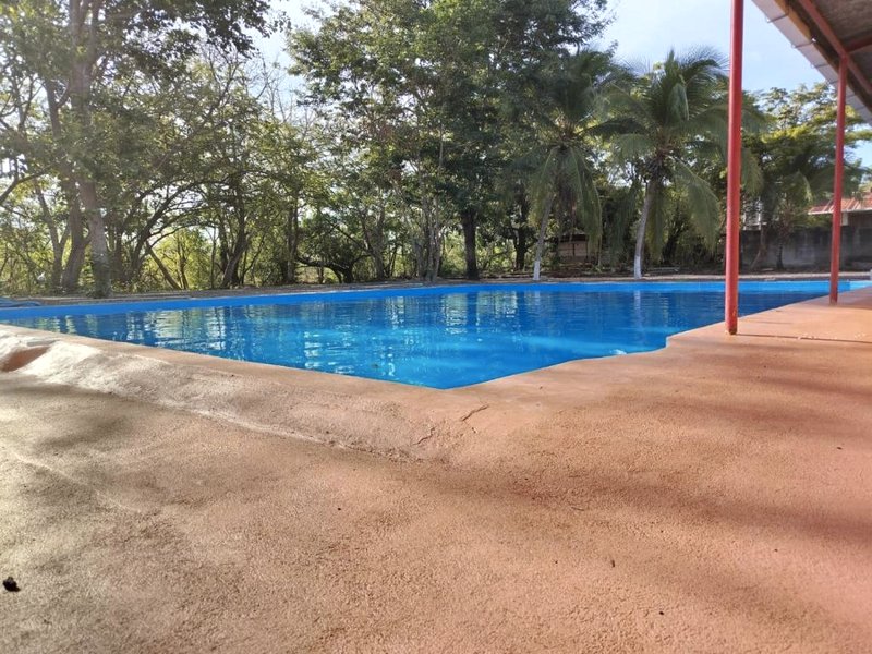 Hotel El Cocobolo Food&Rest Room 1 B&B WiFi AC Pkg Free Swimmingpoolの写真