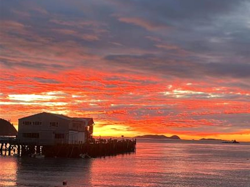 サウス シー ホテル スチュワート アイランド (South Sea Hotel - Stewart Island)の写真