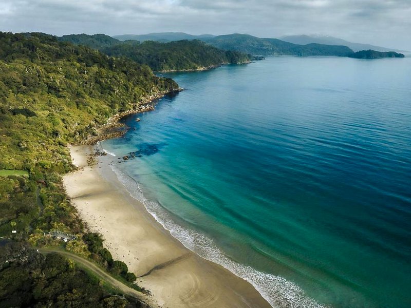 Hananui PurePodの写真