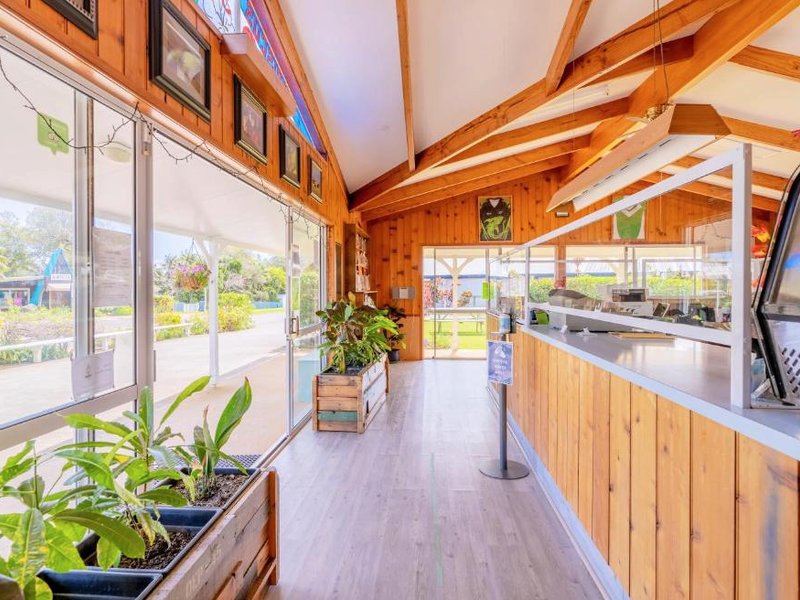アロハ アパートメンツ (Aloha Apartments)の写真