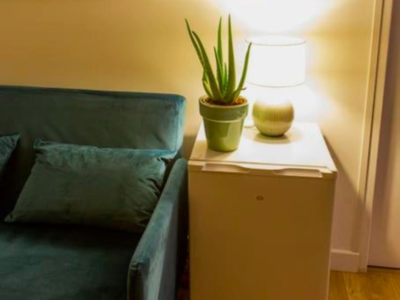 Lovely & Cosy - Studio Balnéo au coeur des canaux (Lovely & Cosy - Studio Balneo au coeur des canaux)の写真