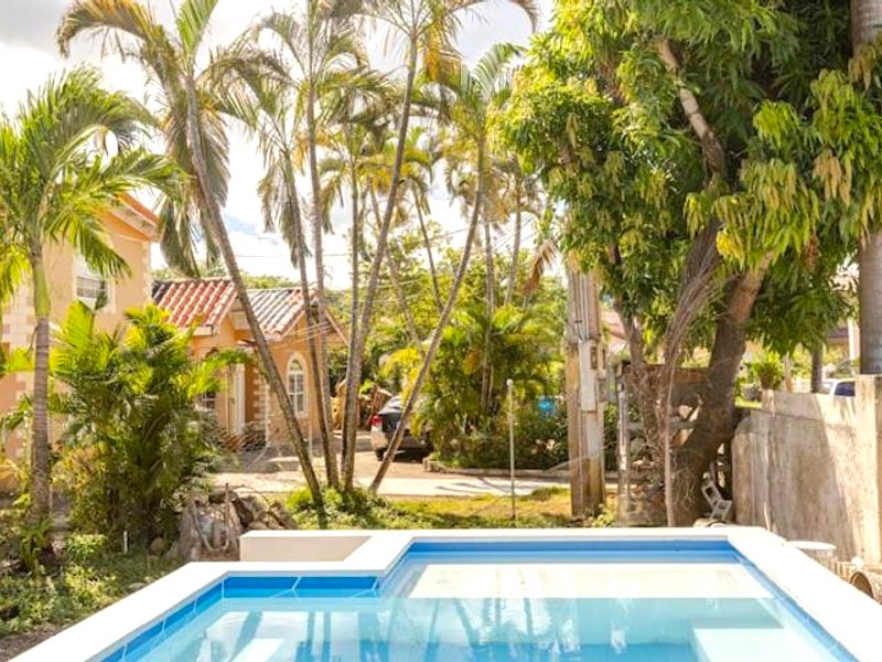 The Dream Nest at Csompó Silver Manor (The Dream Nest at Csompo Silver Manor)の写真