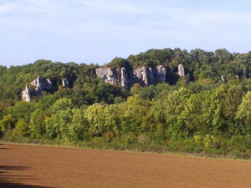 Maison charmante au cœur de Pousseaux avec grand jardinの写真