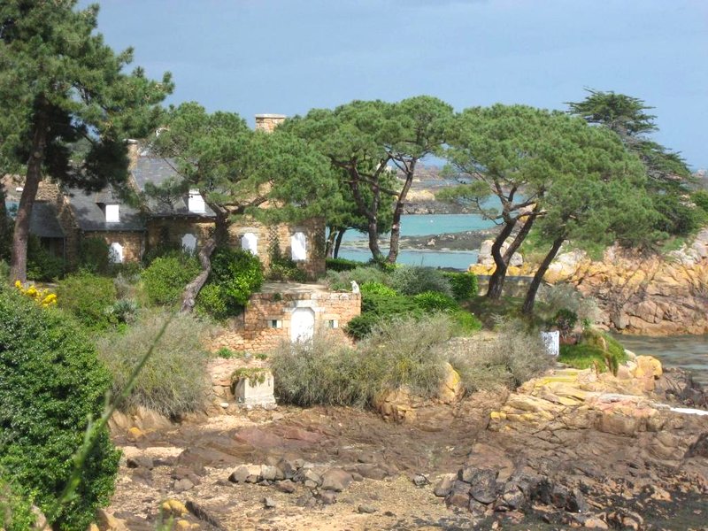 Men Joliguetの写真