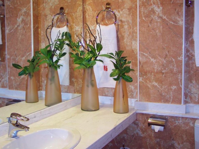 ホテル サン キルツェ デ ベソラ (Hotel Sant Quirze De Besora)の写真