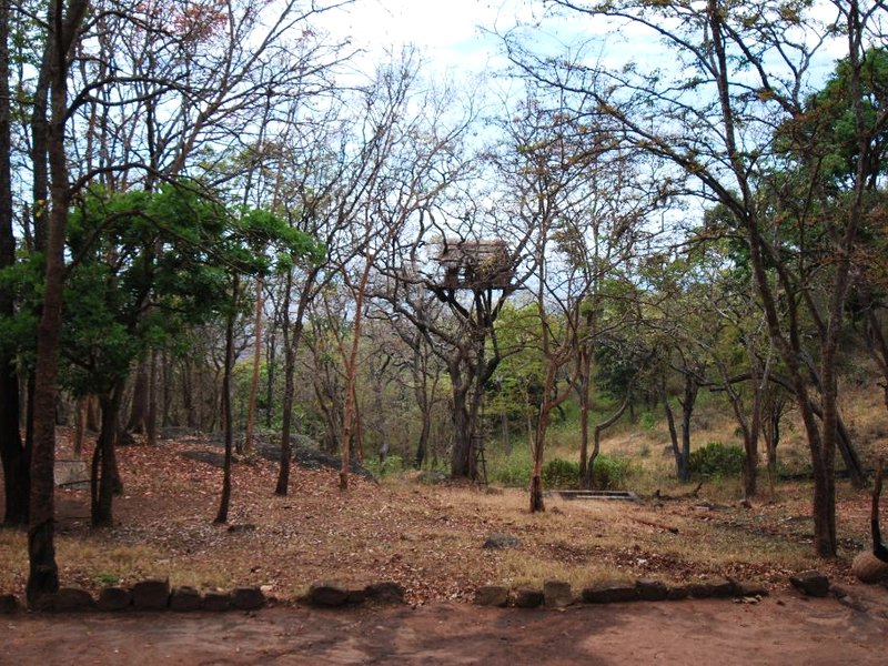 K Gudi Wilderness Camp-Jungle Lodgesの写真