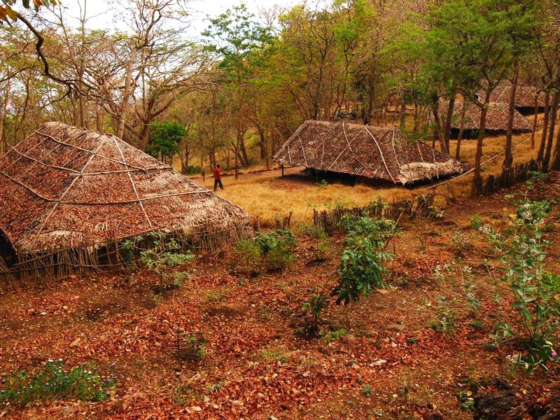 K Gudi Wilderness Camp-Jungle Lodgesの写真