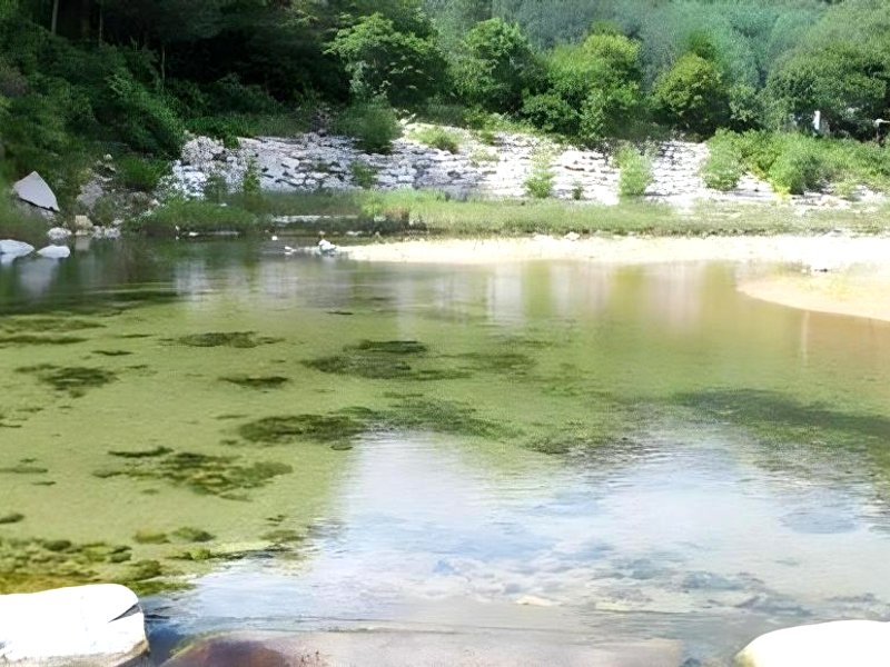 Inje Garisan Pilye Pensionの写真