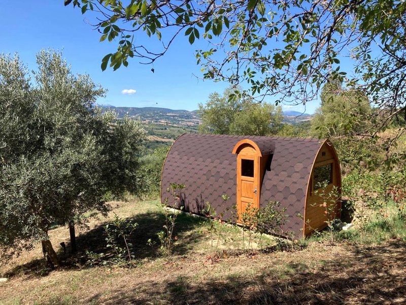 Villa Verdicchio - B&B with wellness for wineloversの写真