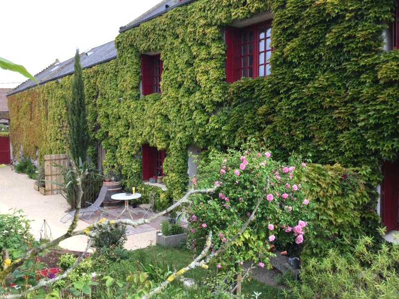 La petite pommeの写真