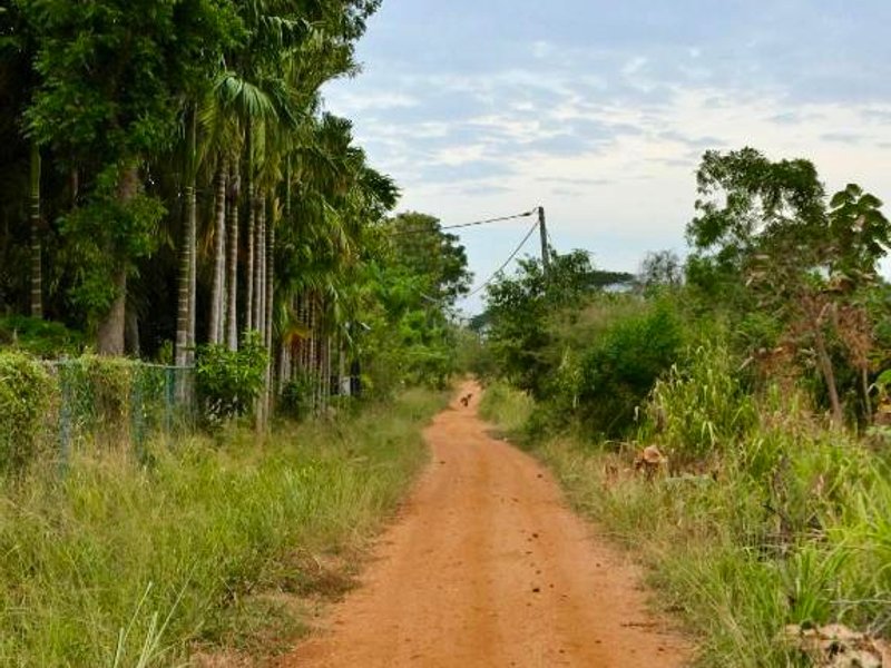 Home Stay in Anuradhapuraの写真