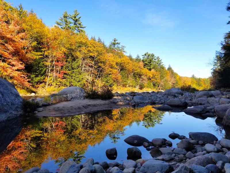 Kancamagus Swift River Innの写真