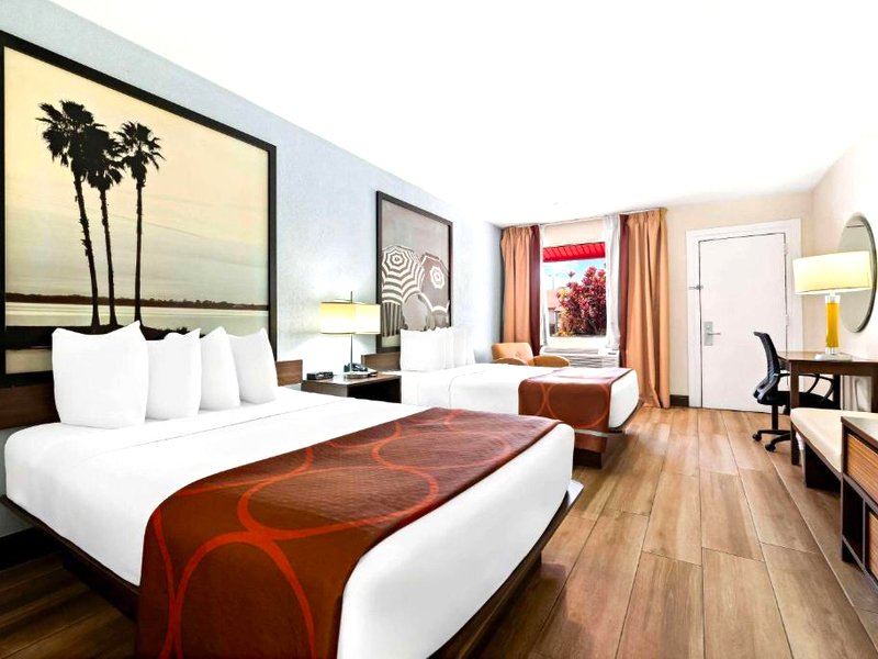 スーパー 8 バイ ウィンダム フロリダ シティ ゲートウェイ トゥ キーズ エバーグレーズ (Super 8 by Wyndham Florida City/Gateway to Keys/Everglades )の写真