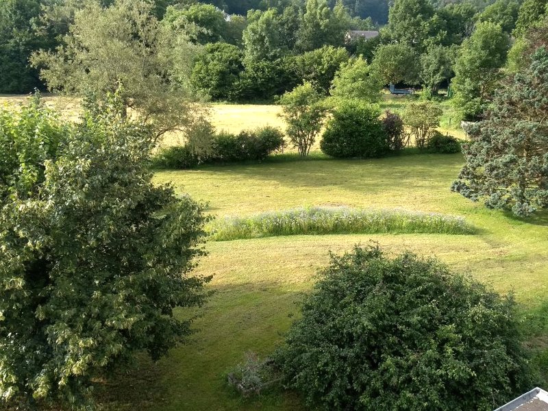 Au Fil du Tempsの写真