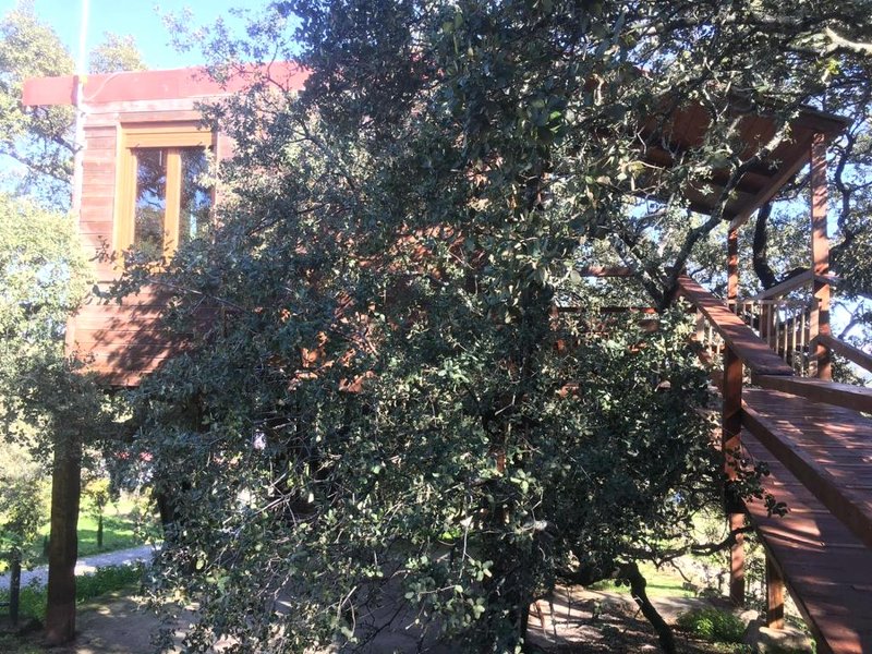 Cabaña El Valle (Cabana El Valle)の写真