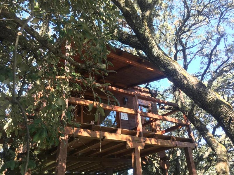 Cabaña El Valle (Cabana El Valle)の写真