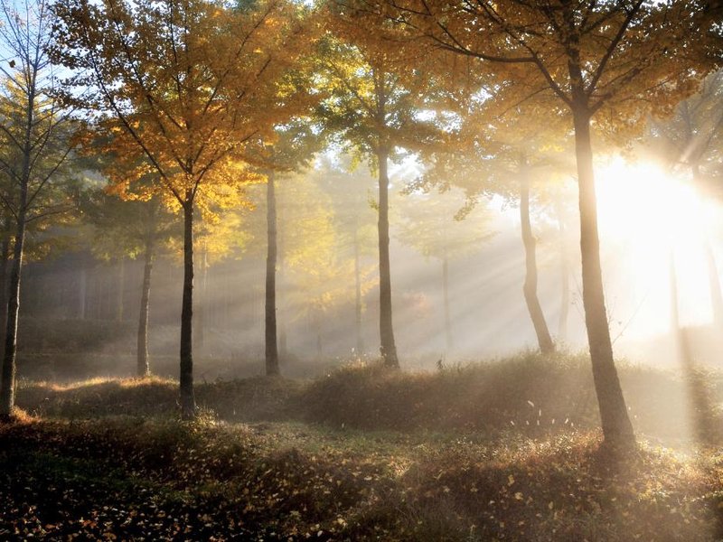 民泊高野展望台の写真