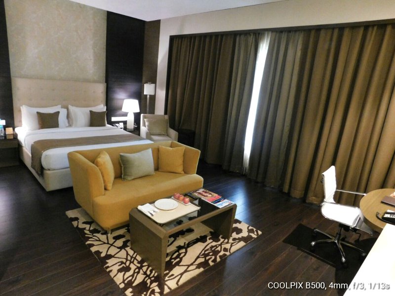 サヤジ ライプール (Sayaji Raipur)の写真