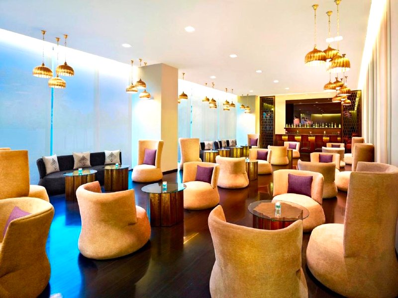 サヤジ ライプール (Sayaji Raipur)の写真