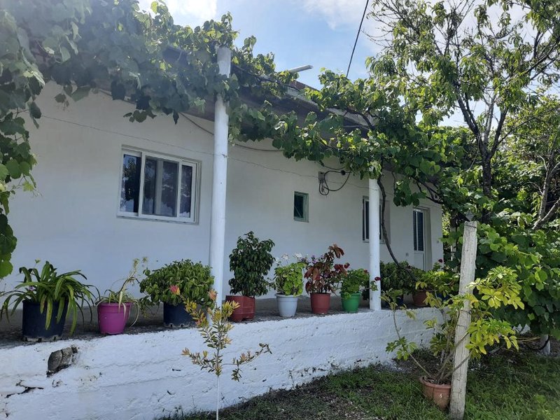 Hillside Apartmentsの写真