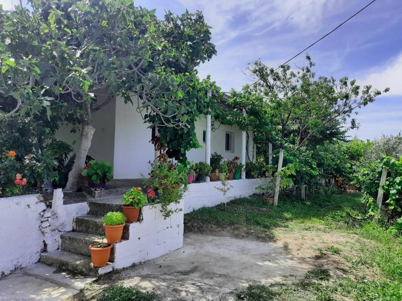 Hillside Apartmentsの写真