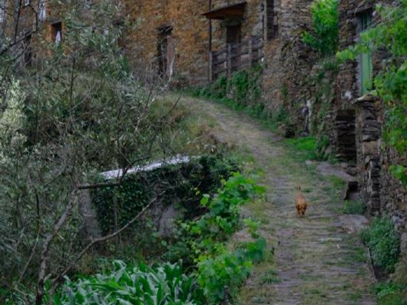 ［サン ジアン］一軒家（120m²）｜ 2ベッドルーム／2バスルーム (Casa do Azereiro)の写真