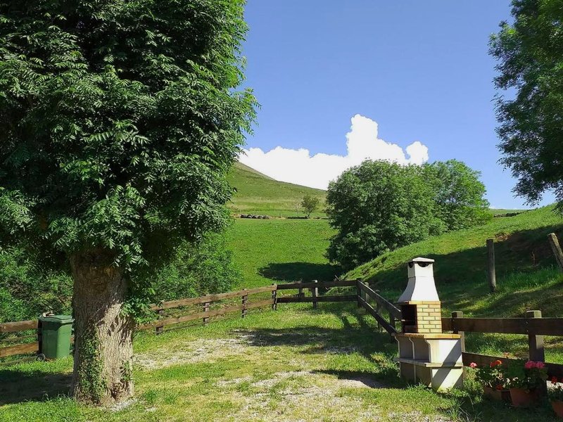 Casuca Pico Jiniroの写真