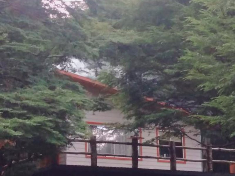 Cabaña en el bosque (Cabana en el bosque)の写真