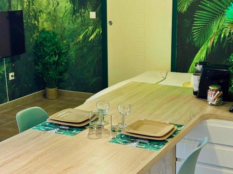 Jungle Suite ,Terrasse, Wi-Fi & Parking PVの写真