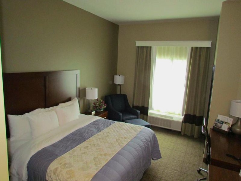 Comfort Inn & Suitesの写真