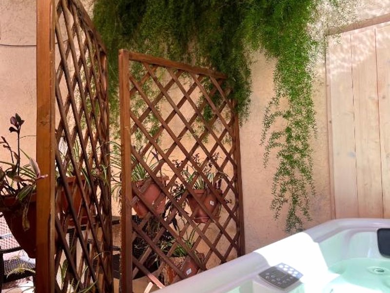 レオン ビアンコ (Leon Bianco)の写真