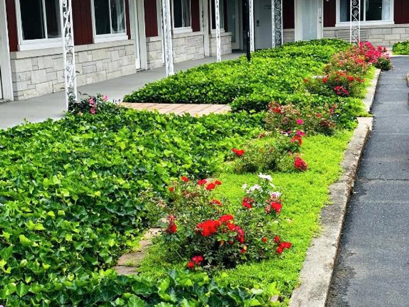 マレー イン アンド アート ギャラリー (Murray Inn and Art Gallery)の写真