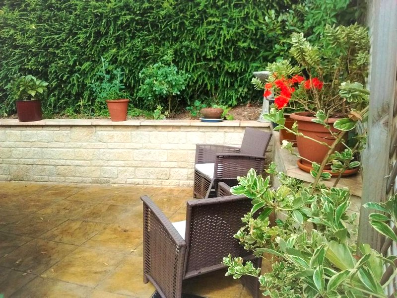 Sunny Patchの写真