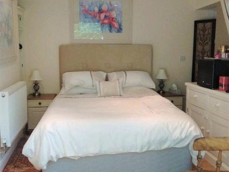 Sunny Patchの写真