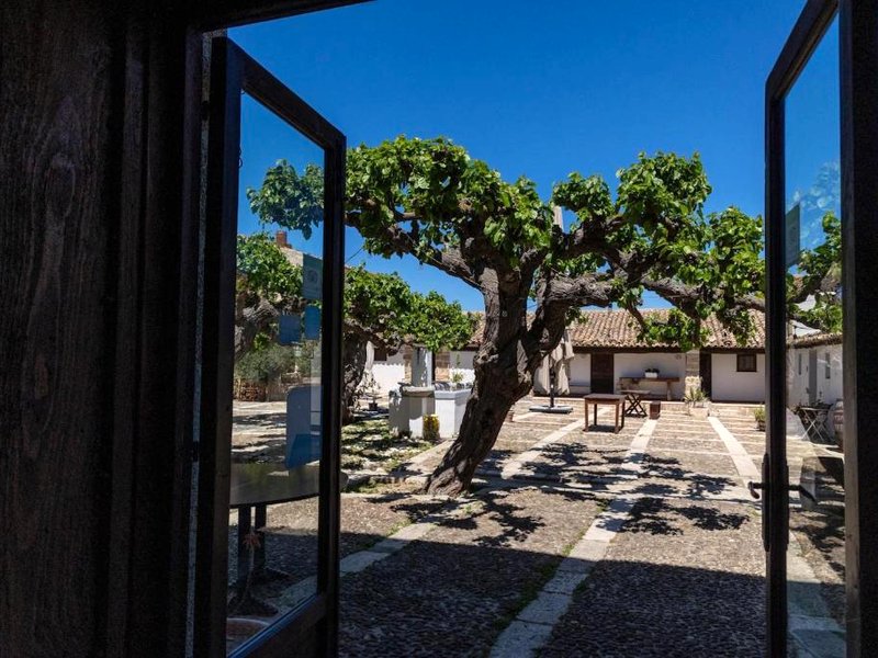 Fattoria Manostalla Villa Chiarelliの写真