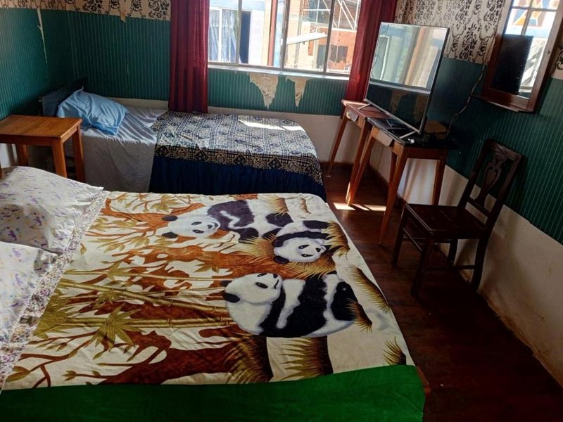 Lluvia de oroの写真