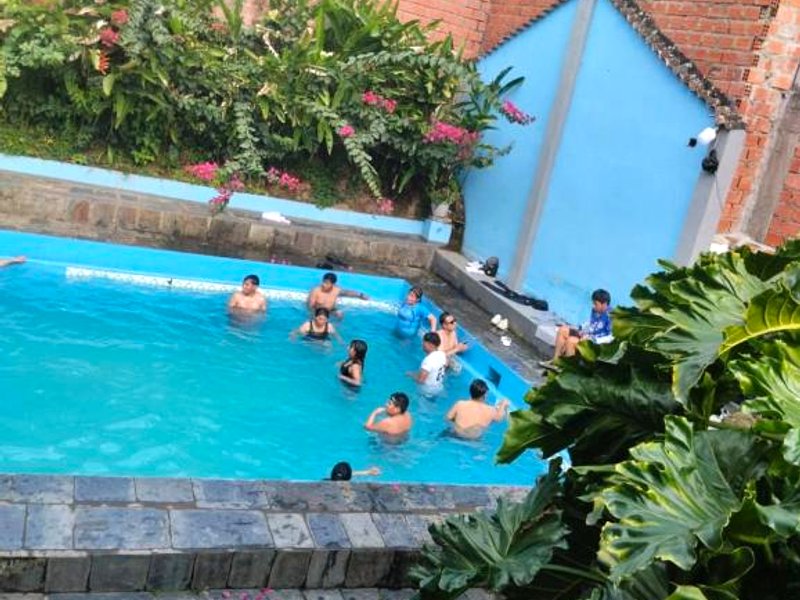 Lluvia de oroの写真