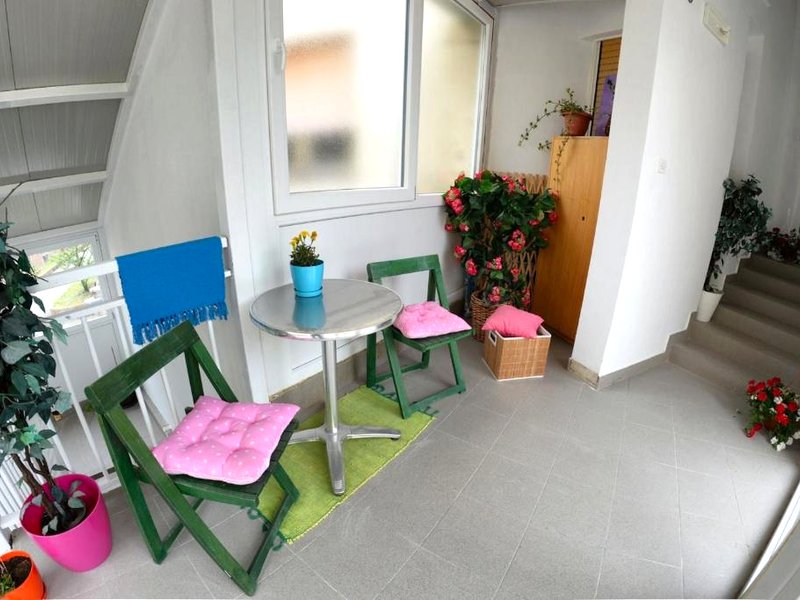 Crazy House Hostelの写真