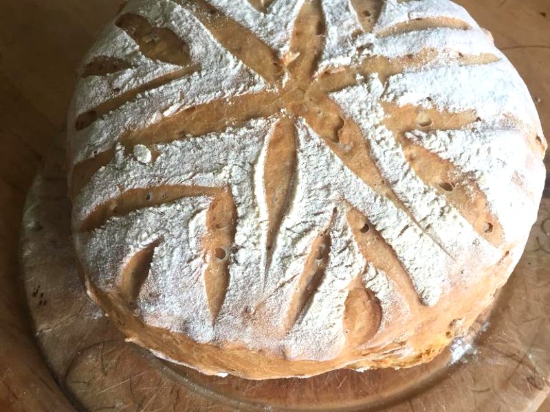 Gilchristland Organic Farm Retreatの写真